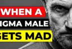 VIDEO 7 Things That Happen When a Sigma Male Gets MAD