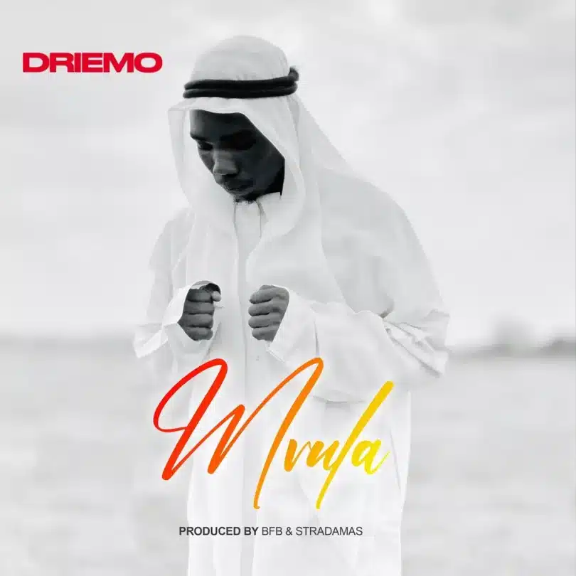 AUDIO Driemo - Mvula MP3 DOWNLOAD