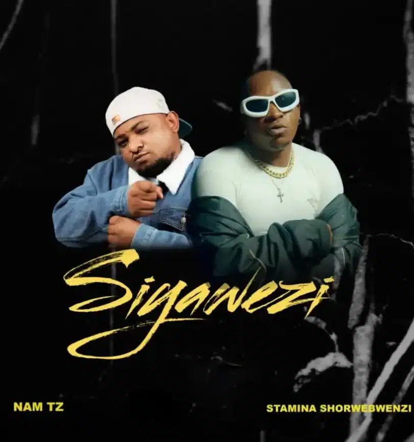 AUDIO Nam Tz - Siyawezi Ft Stamina Shorwebwenzi MP3 DOWNLOAD