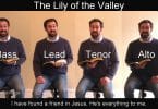 Acapeldridge - The Lily Of The Valley