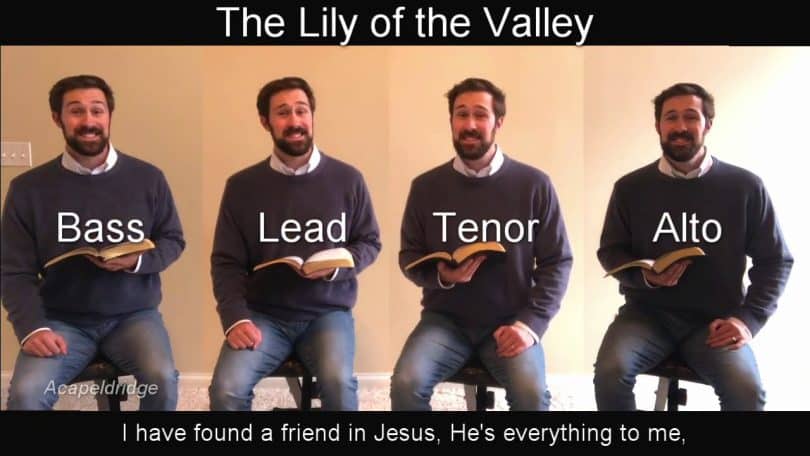 Acapeldridge - The Lily Of The Valley